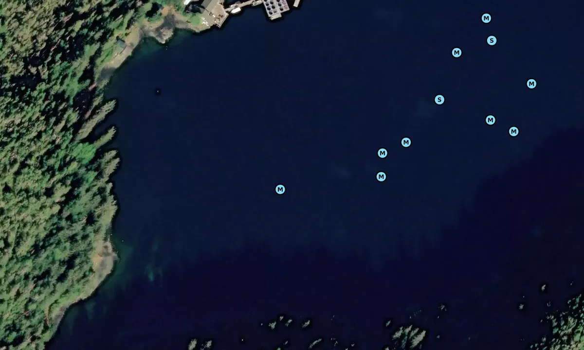 Satelite image of Little Port Walter