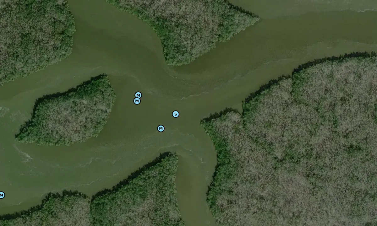 Satelite image of Little Shark River - 2