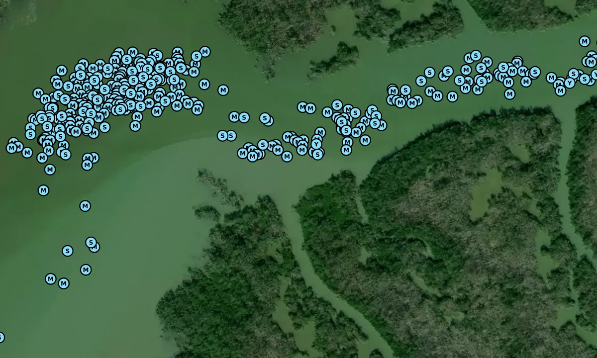 Satelite image of Little Shark River Point