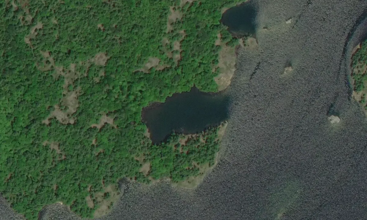 Satelite image of Little Wilcox