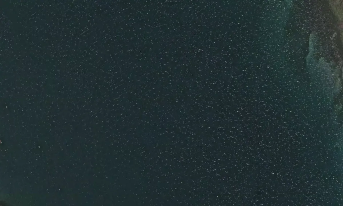 Satelite image of Loch Slapin