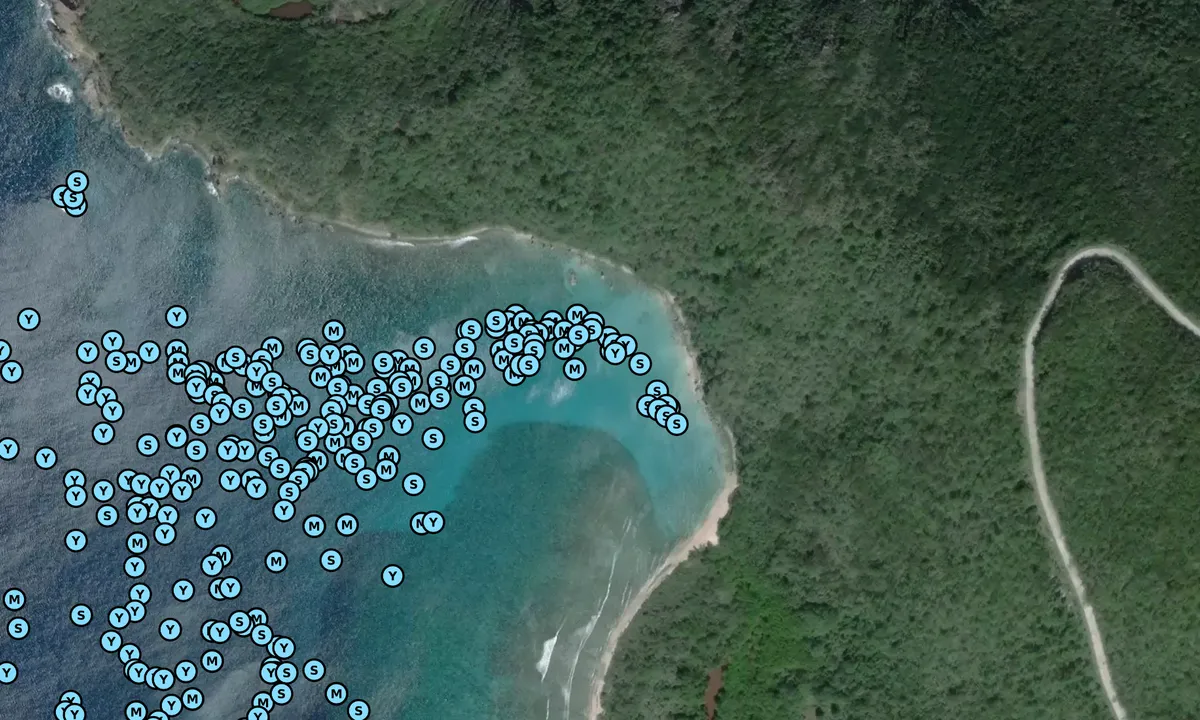 Satelite image of Long Bay - Spanish Town