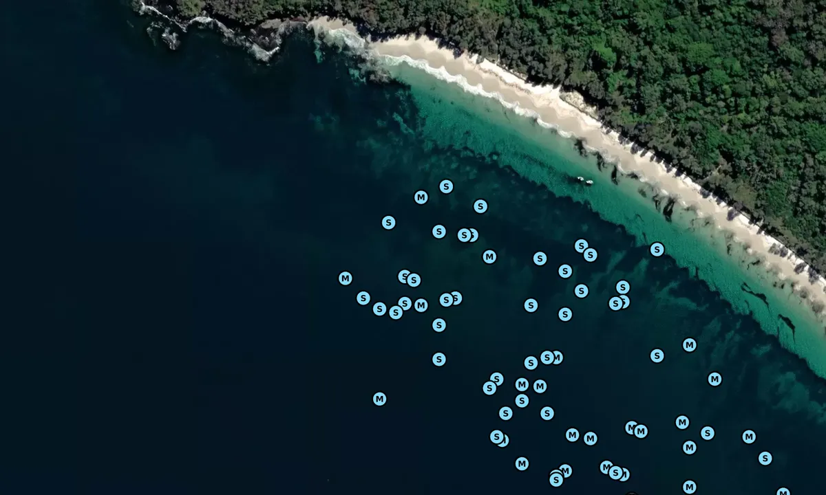 Satelite image of Long Beach 1