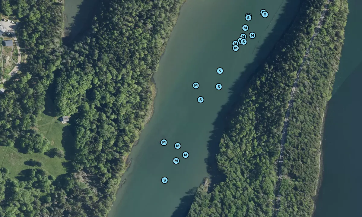 Satelite image of Long Cove