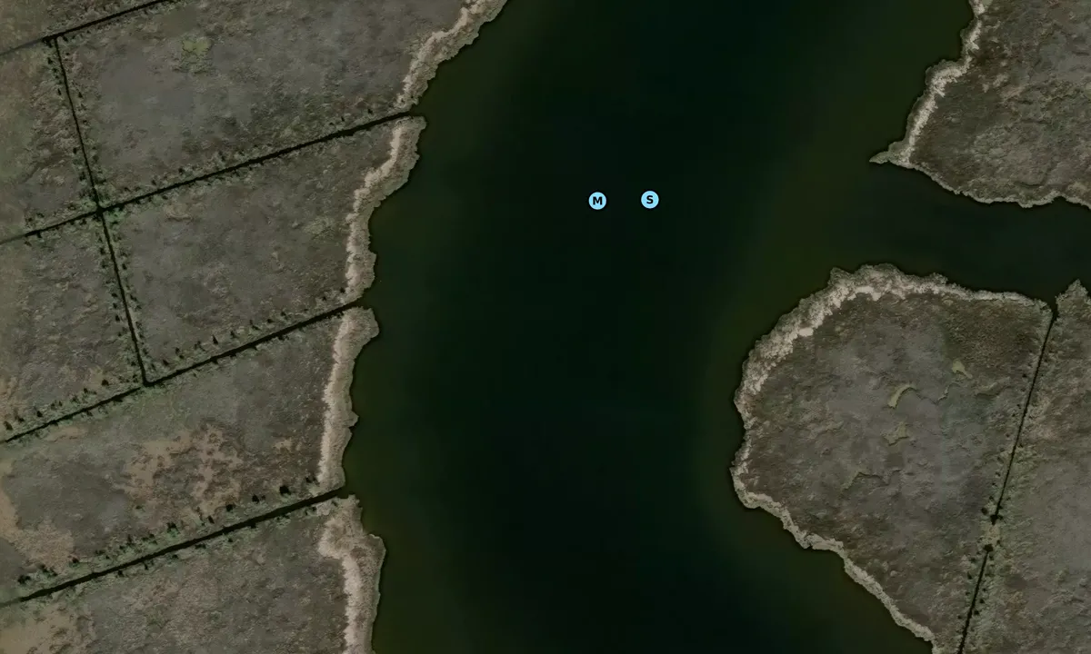 Satelite image of Long Creek - Mesic