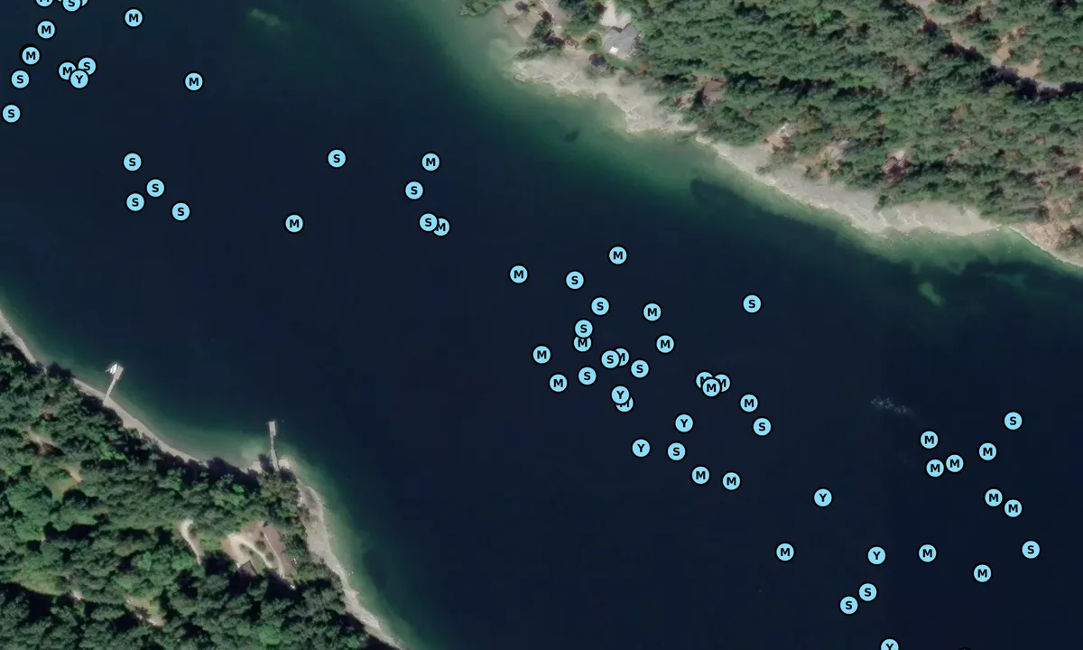 Satelite image of Long Harbour
