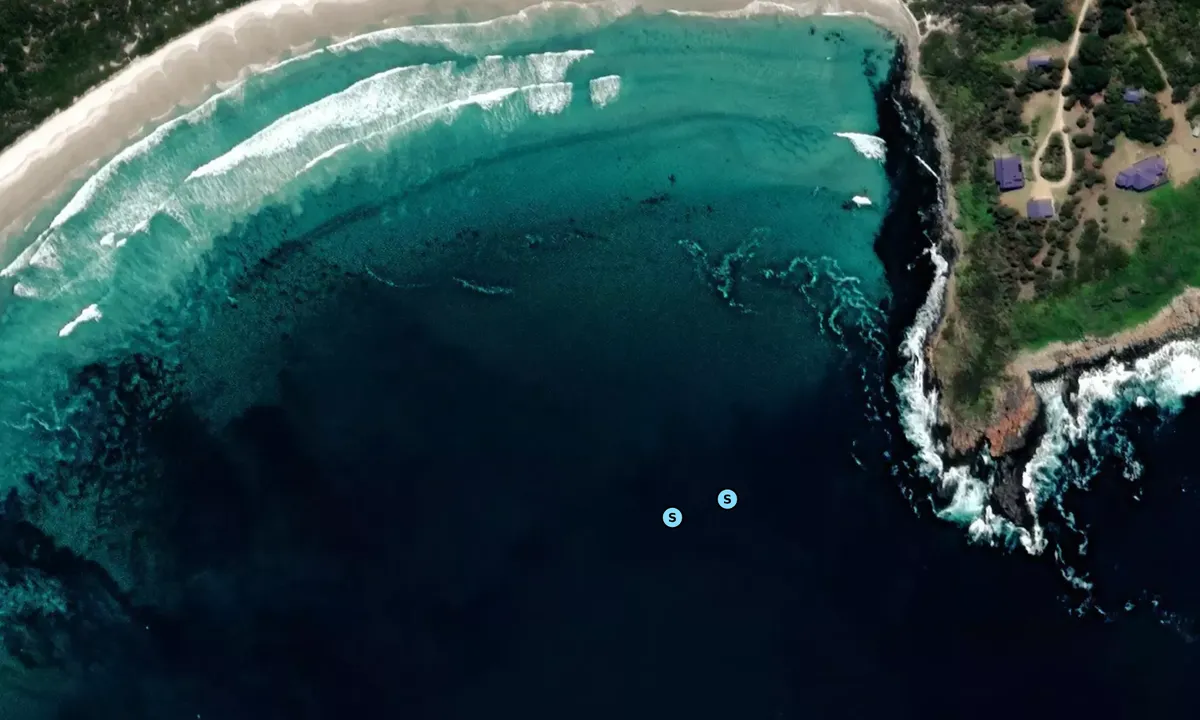 Satelite image of Long Point 1
