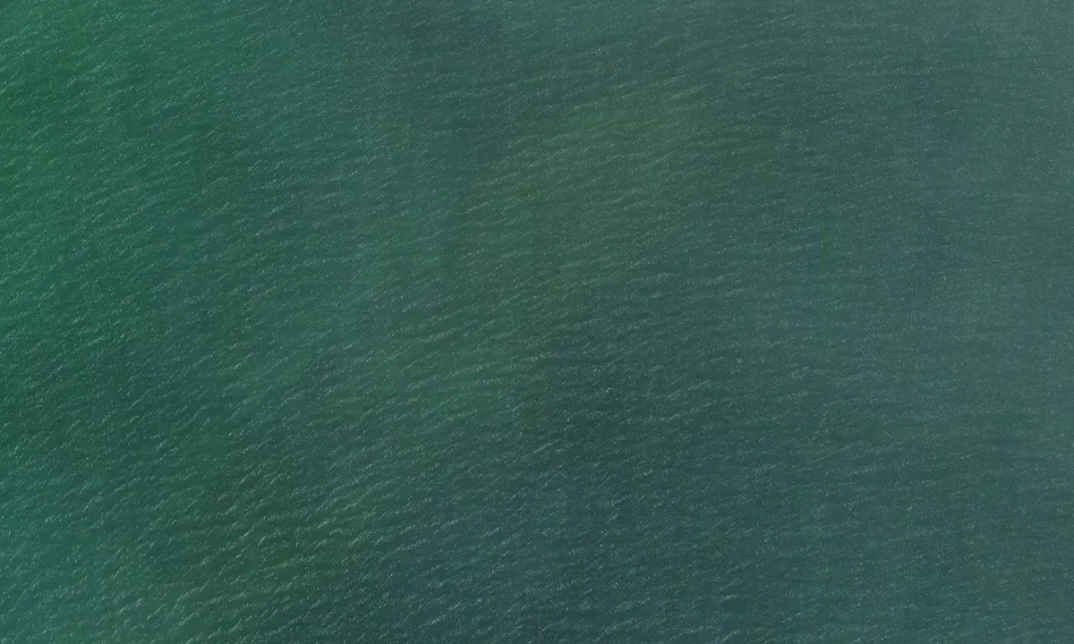 Satelite image of Long Point Bay