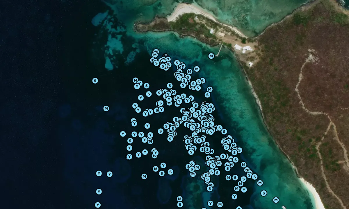 Satelite image of Los Palominos