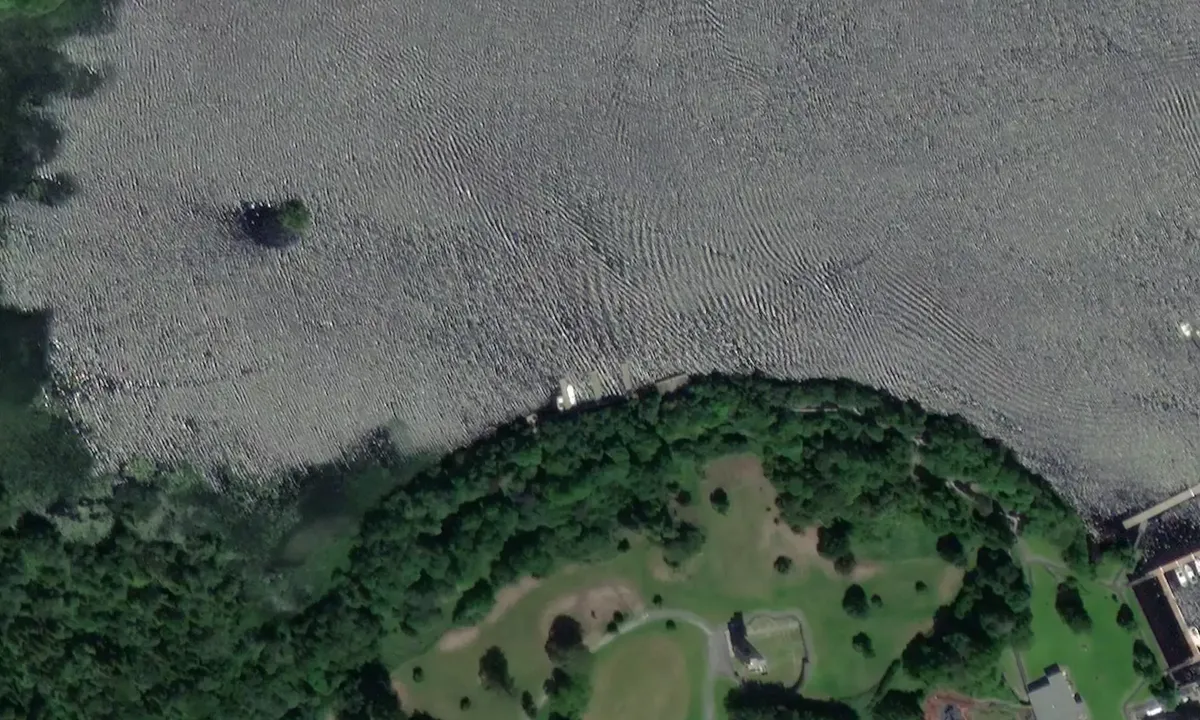Satelite image of Lough Key (Public)
