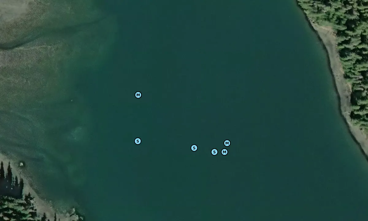 Satelite image of Louise Cove