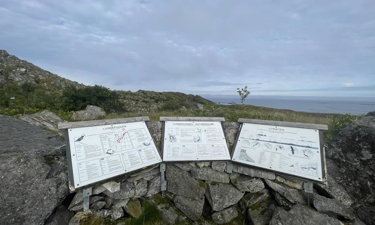 Lovund Gjestehavn: Informative tavler forteller om Lundfuglen og utsikten til de omkringliggende øyene.