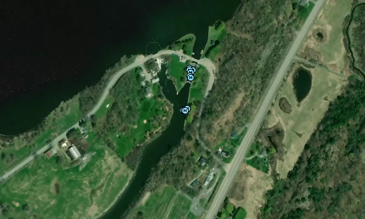Satelite image of Lower Brewers Lock Docks, below lock (Parks Canada