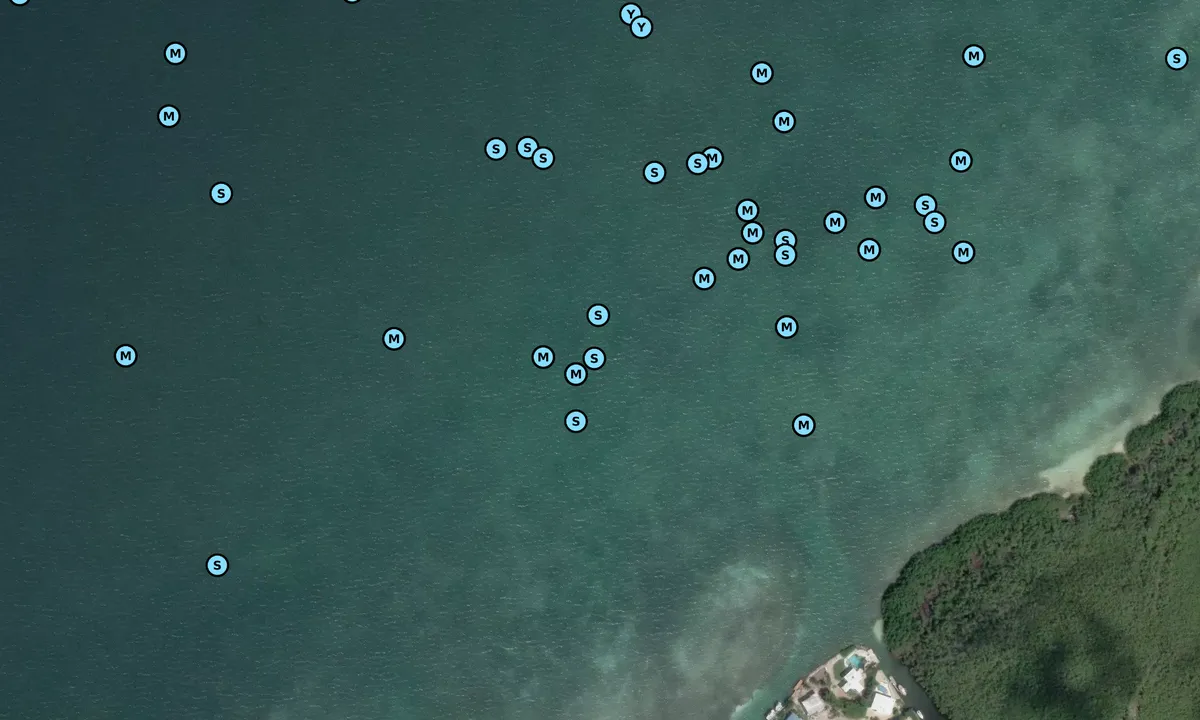 Satelite image of Lower Matecumbe Key