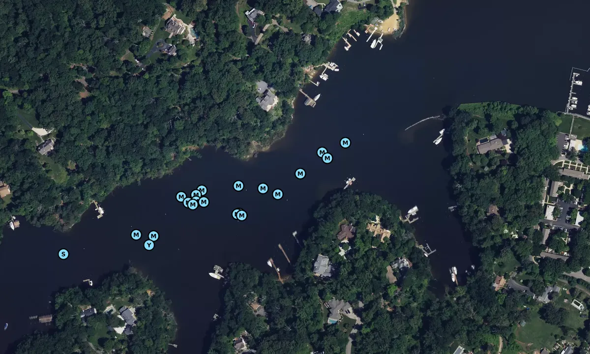 Satelite image of Luce Creek