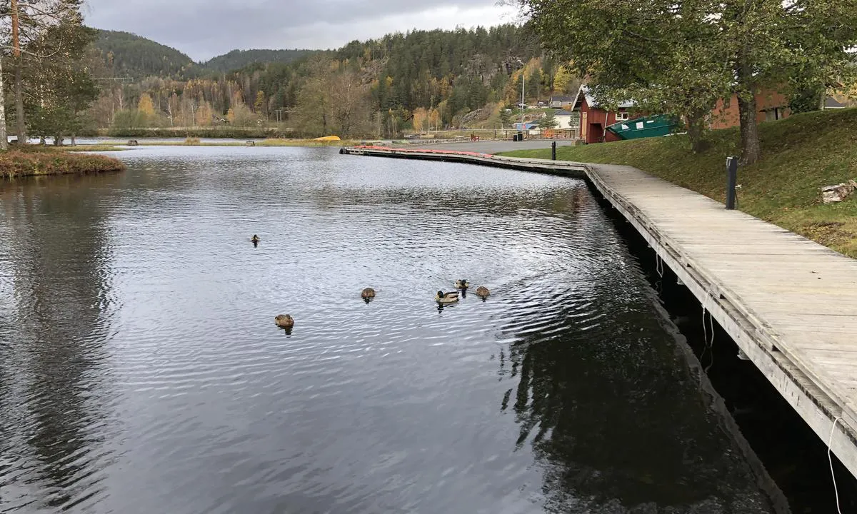 I Lunde er det et ganske stort anlegg med gjestekaier.