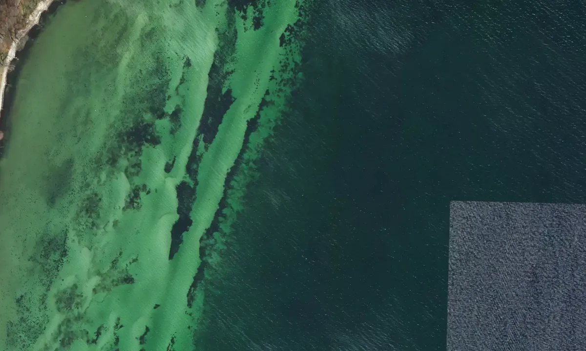 Flyfoto av Lundeborg Kirke bouy