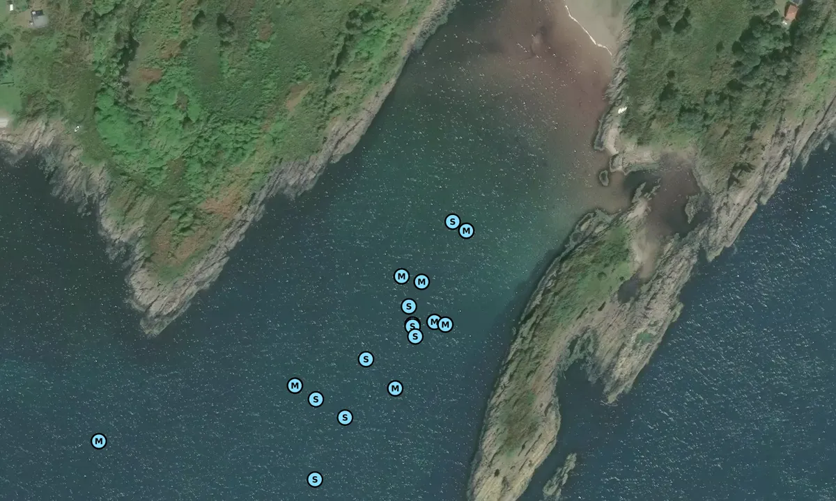 Satelite image of Lussa Bay, Jura