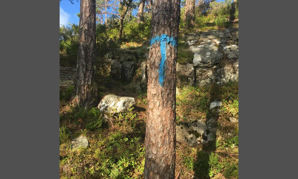 Lykjelsøy: Merket tursti.