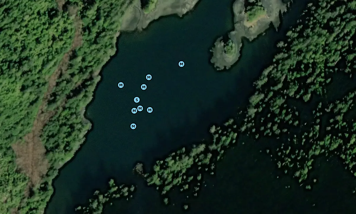 Satelite image of Lyman Inner Harbor