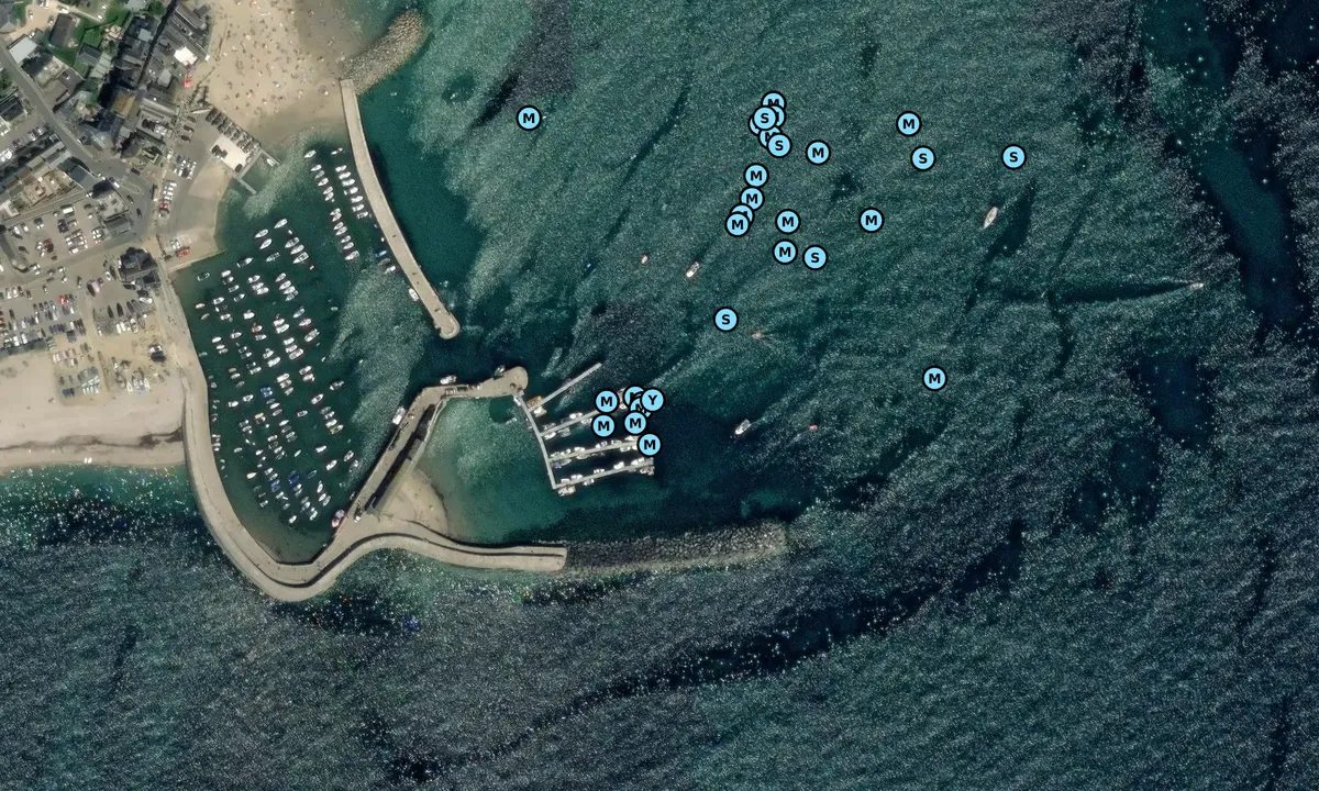 Satelite image of Lyme Regis