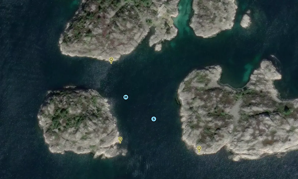 Satelite image of Lyngholmane - Høvåg