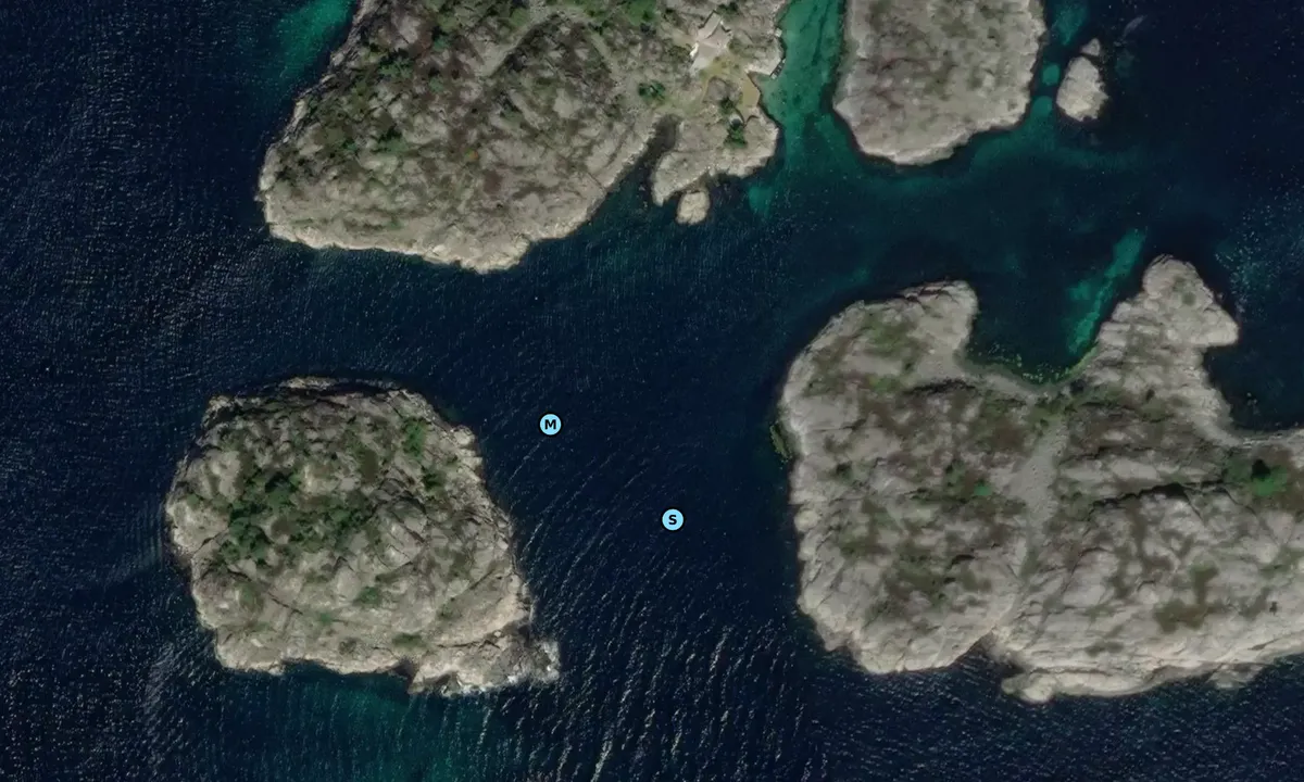 Satelite image of Lyngholmane - Høvåg