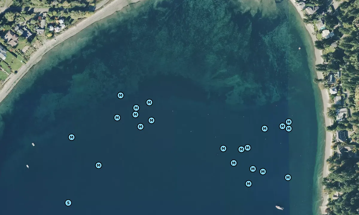 Satelite image of Lynwood Center