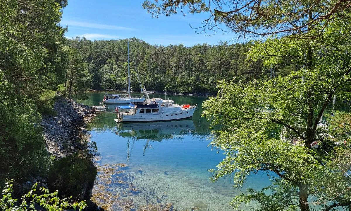 Lysevågen: Vågen sett fra stien