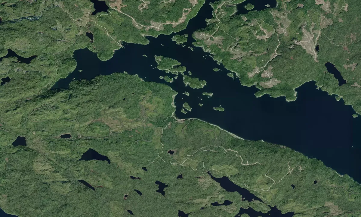 Flyfoto av Macgowan Bay