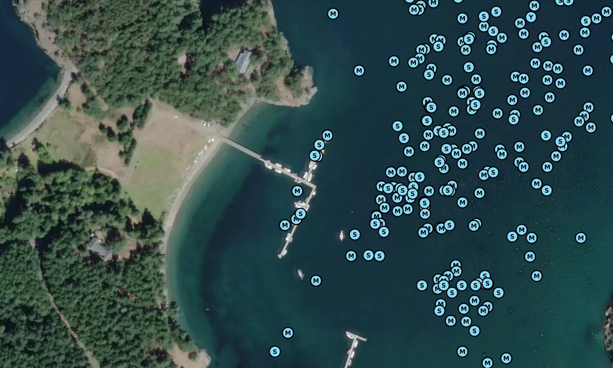 Satelite image of MacKaye Harbor Private Dock