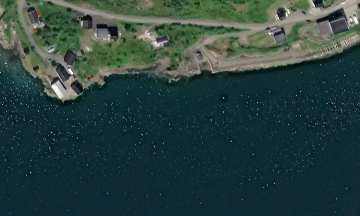 Satelite image of Maervollfjord - Tangstad