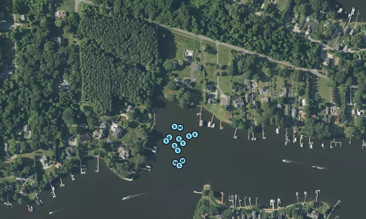 Satelite image of Main Creek off Bodkin Creek