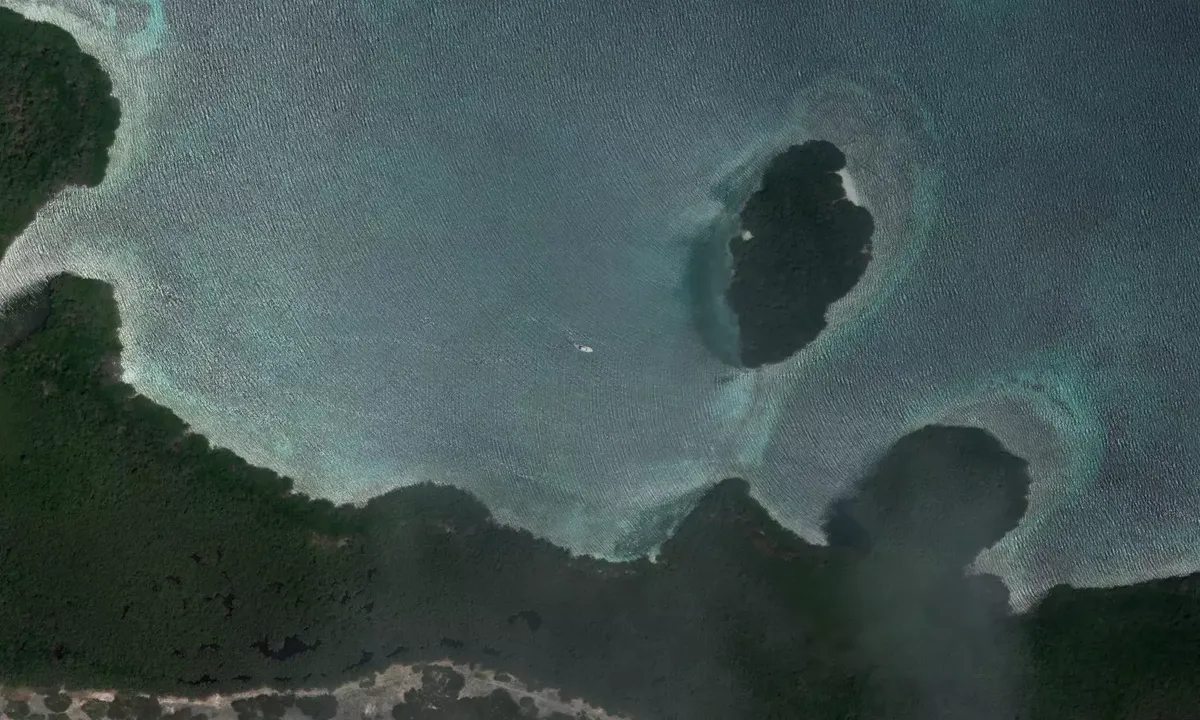 Satelite image of Mangrove Bay