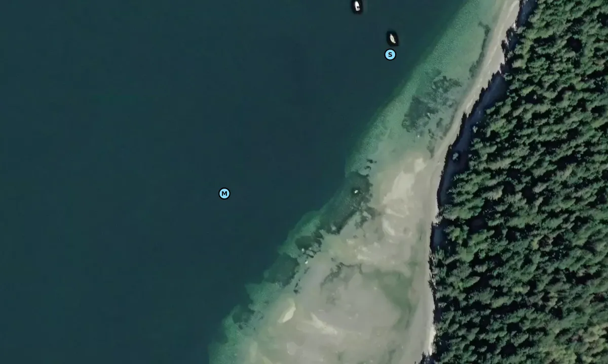 Satelite image of Manson's Landing