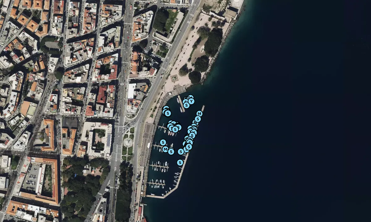 Satelite image of Marina Del Nettuno