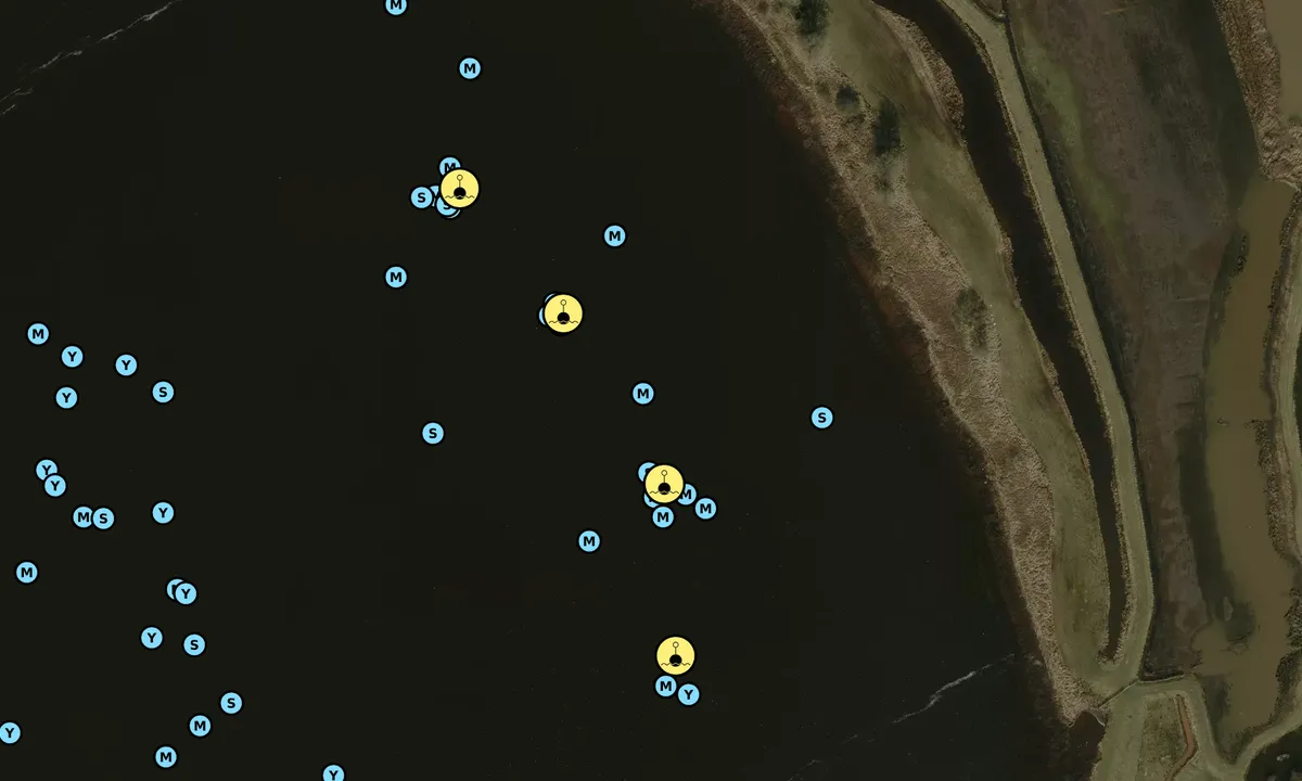 Satelite image of Marrekrite buoys MB26, MB49, MB63 and MB64