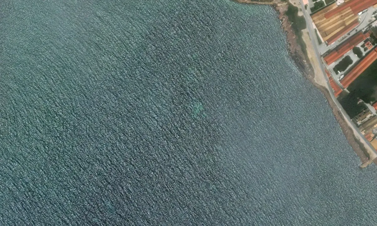 Flyfoto av Marsala