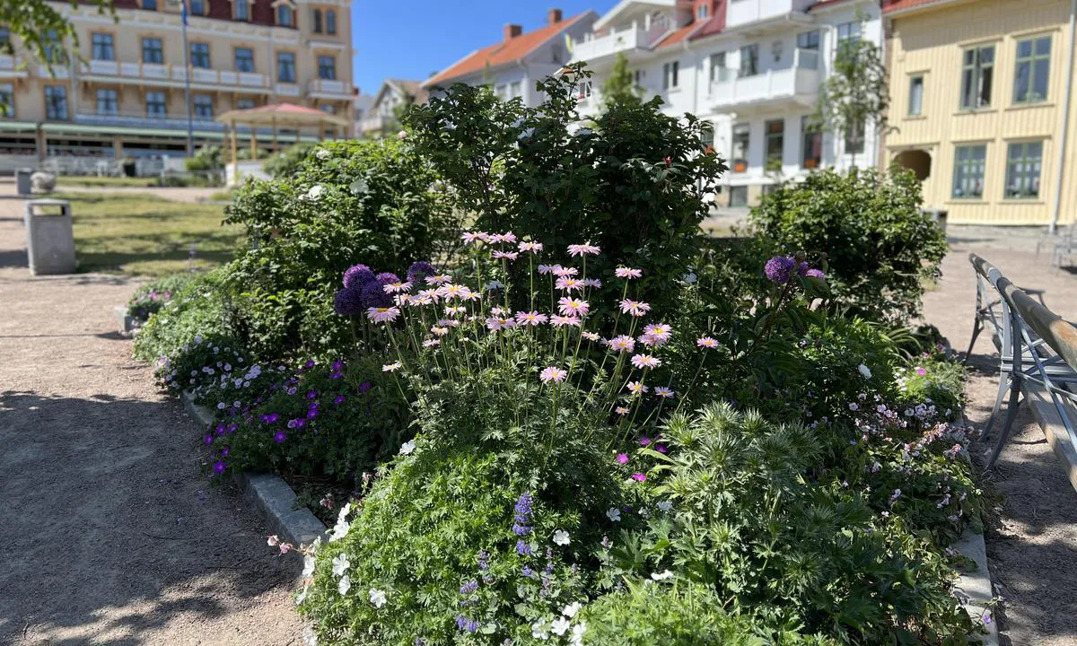 Marstrand: Park foran Grand Hotel. Nydelig restaurant på hotellet.