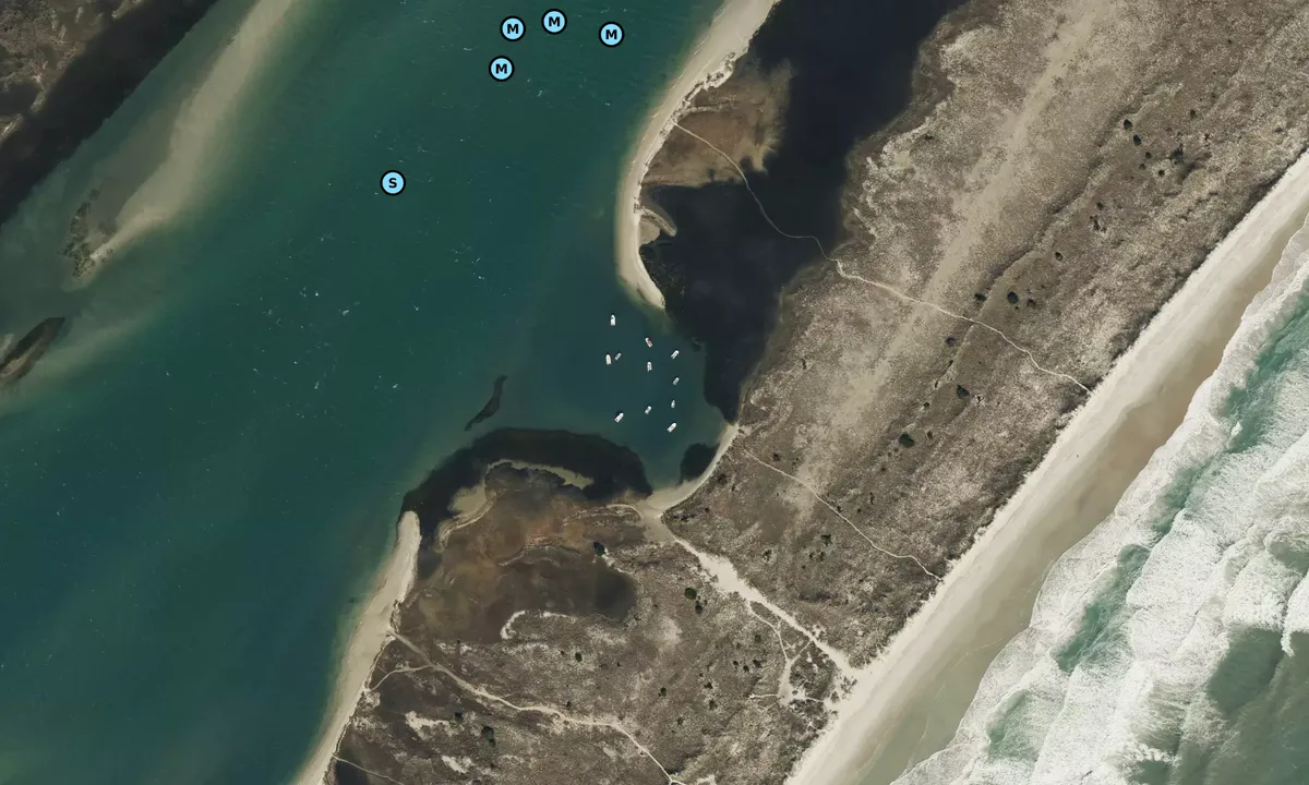 Satelite image of Masonboro Cove