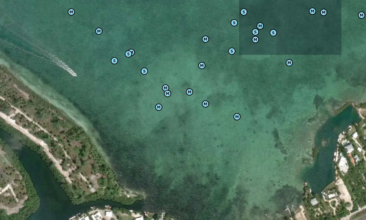 Satelite image of Matacumbe East