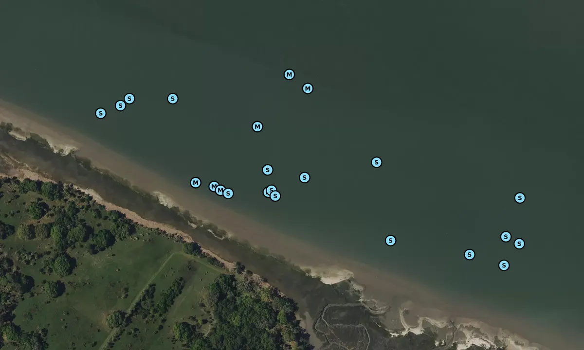 Satelite image of May River