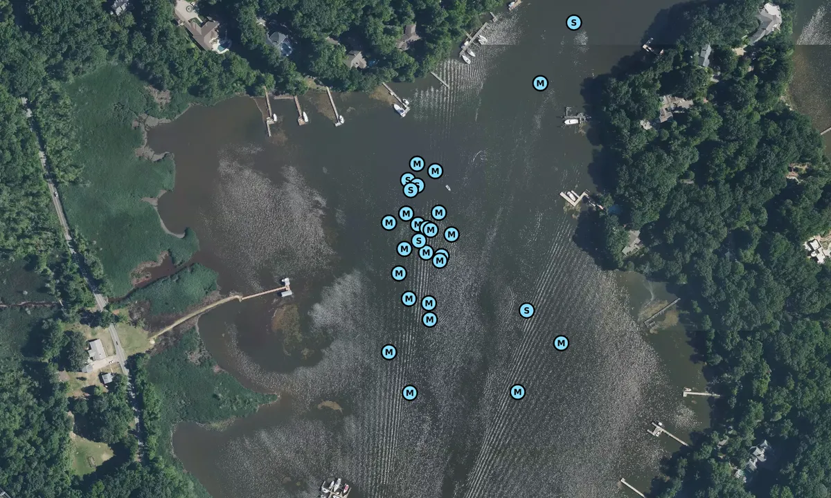 Satelite image of Maynadier Creek