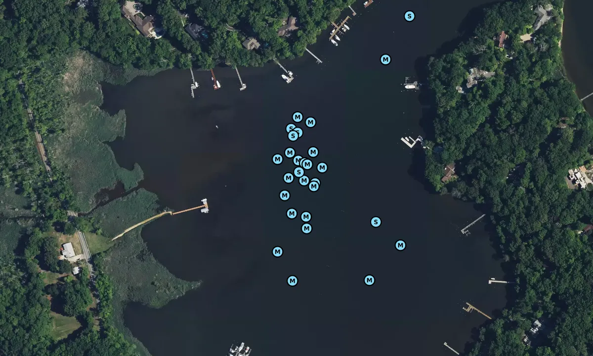 Satelite image of Maynadier Creek