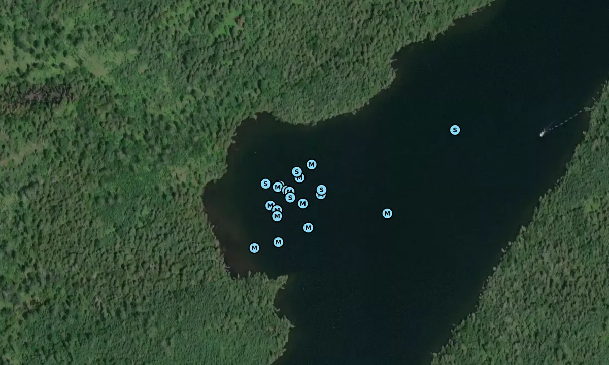Satelite image of McCargoe Cove - 3