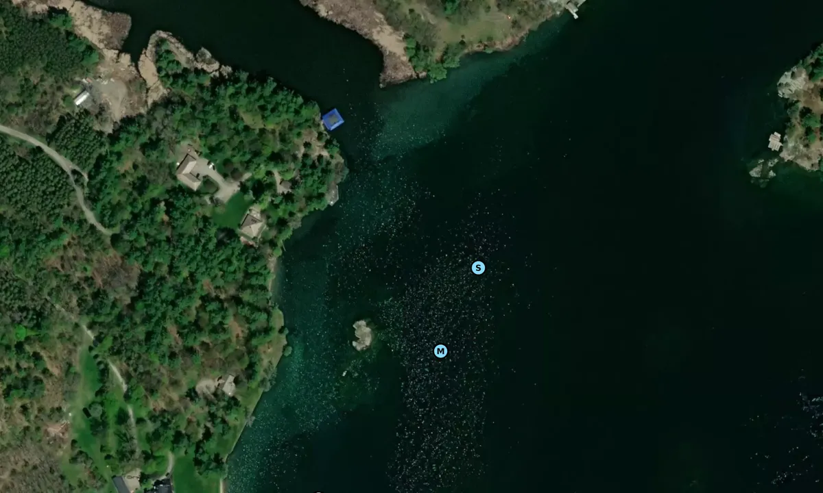 Satelite image of McDonald Bay