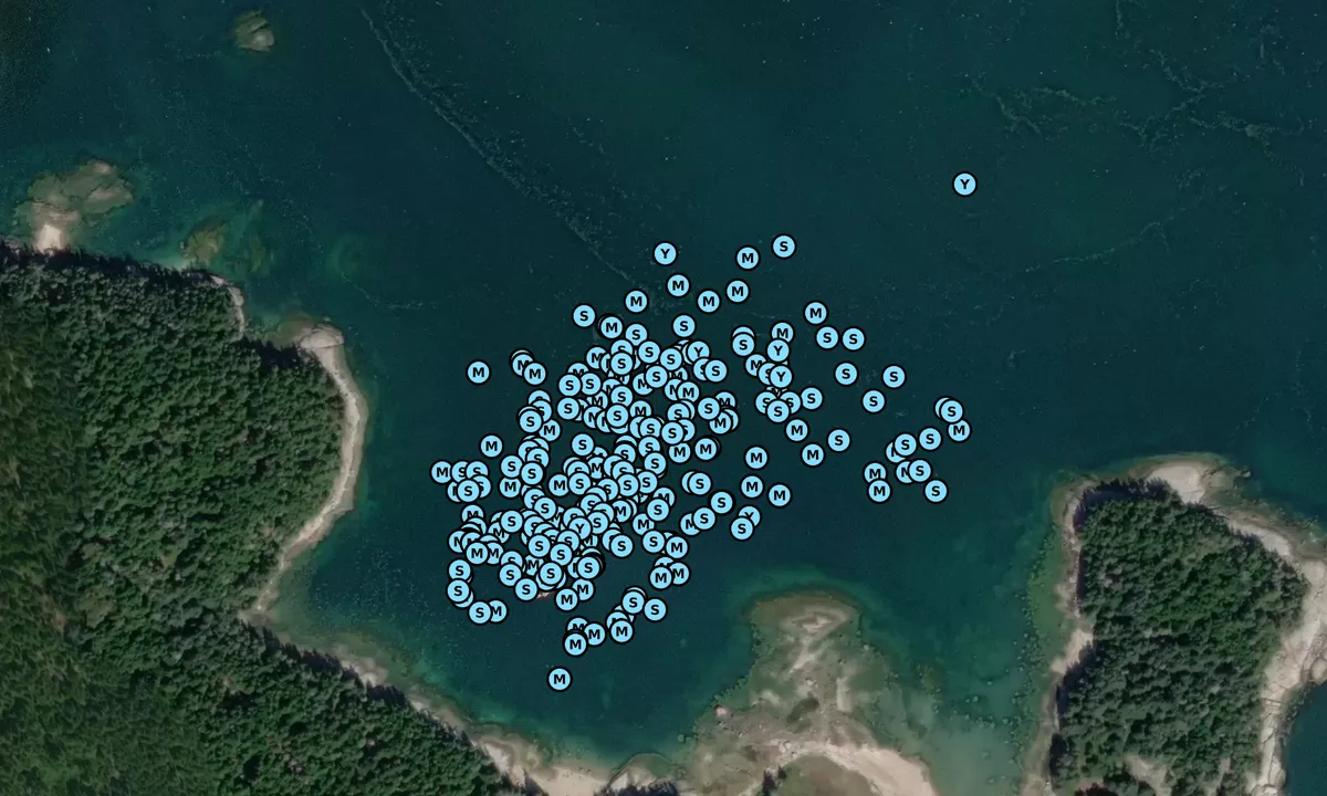 Satelite image of McGlathery