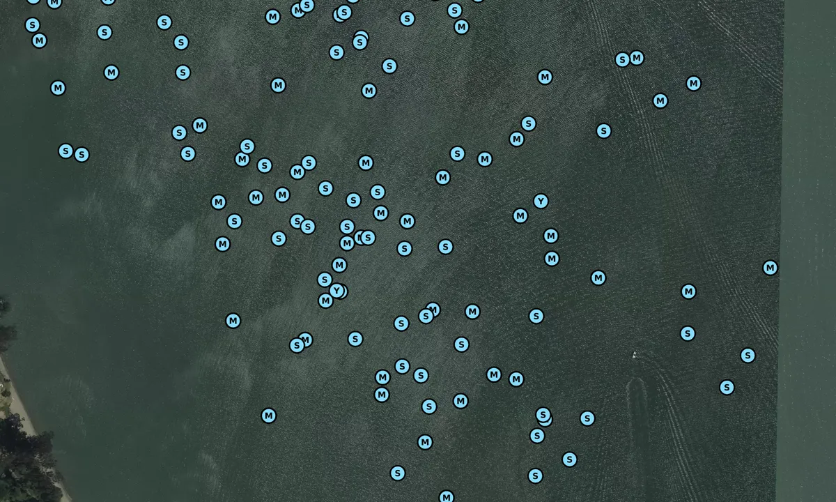 Satelite image of McNears Beach