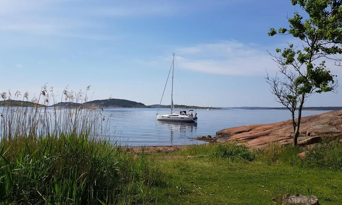 Mellom-Bolæren: Bukta sør for Grevestua