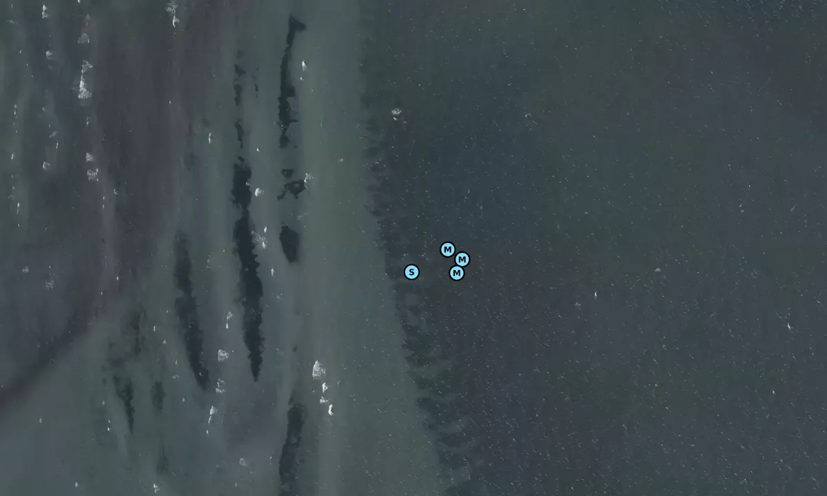 Satelite image of Mikkelborg bouy